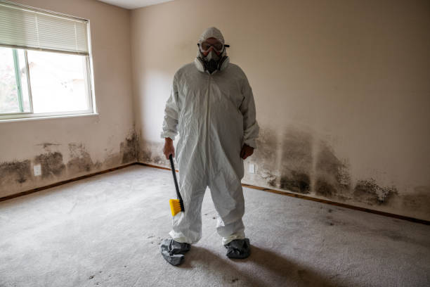 Mold Exposure & Symptoms